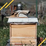 Réunir deux colonie d'abeilles