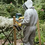 Apiculteur en tenue d'apiculteur