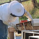 fabrication d'un essaim nu