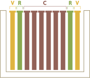 Le développement d'un essaim d'abeilles de l'année