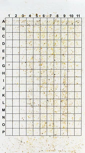 compter la chute naturelle des varroas