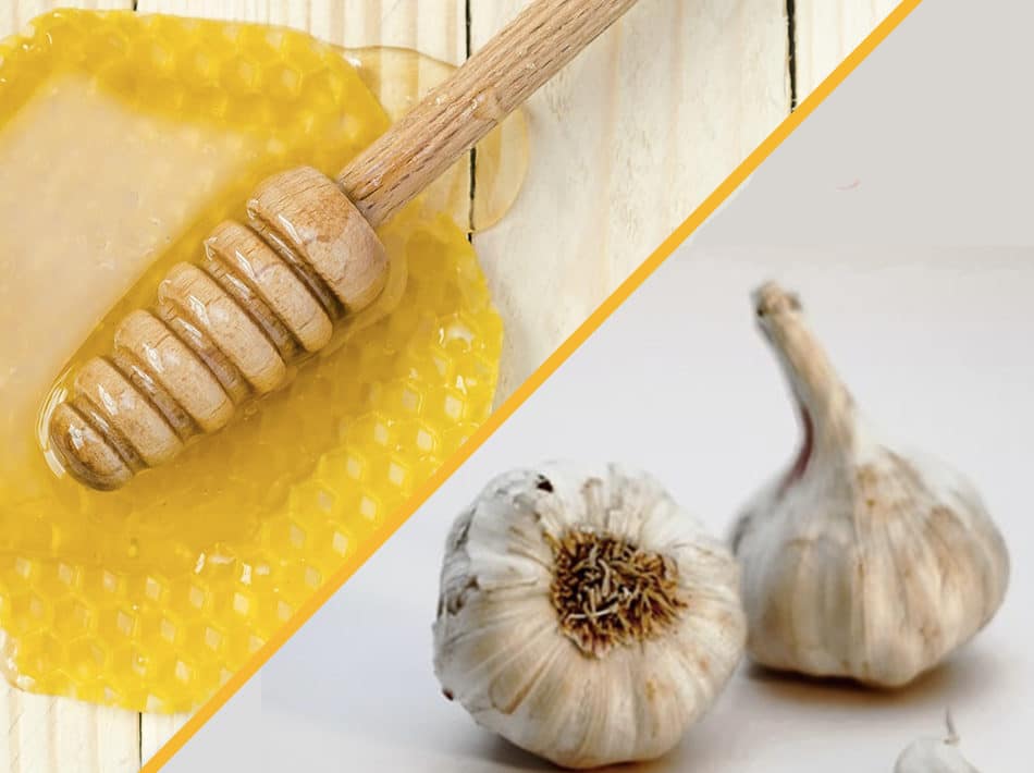 Bienfais miel et ail