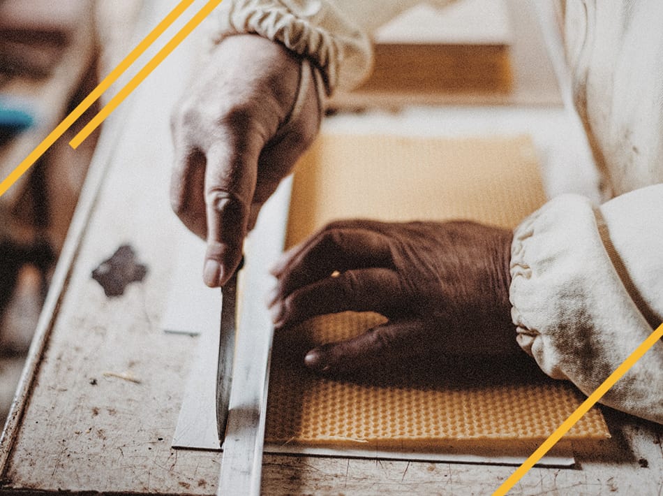 Cire gaufrée pour la construction des cadres d'abeilles