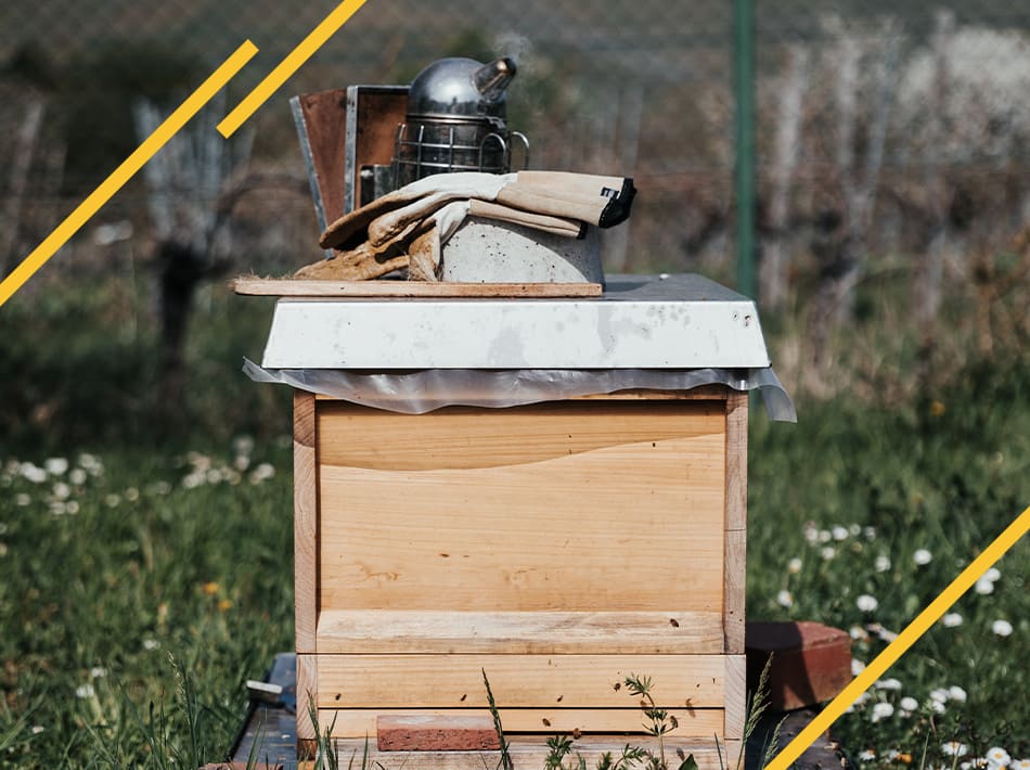 Réunir deux colonie d'abeilles