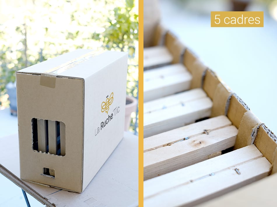 ruchette conditionnement essaim