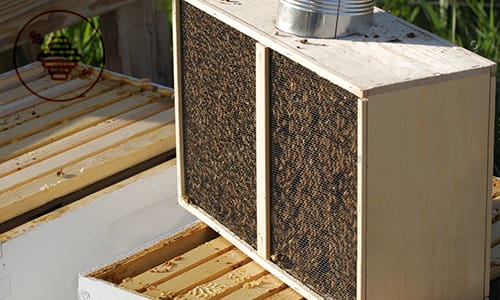 Paquet d'abeilles à vendre